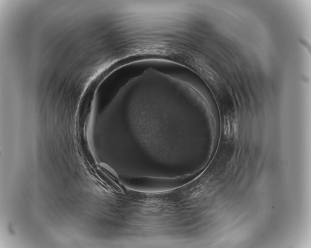 X0000098010388200804071333