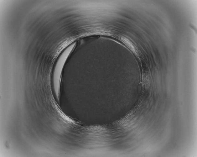 X0000098010389200804071333