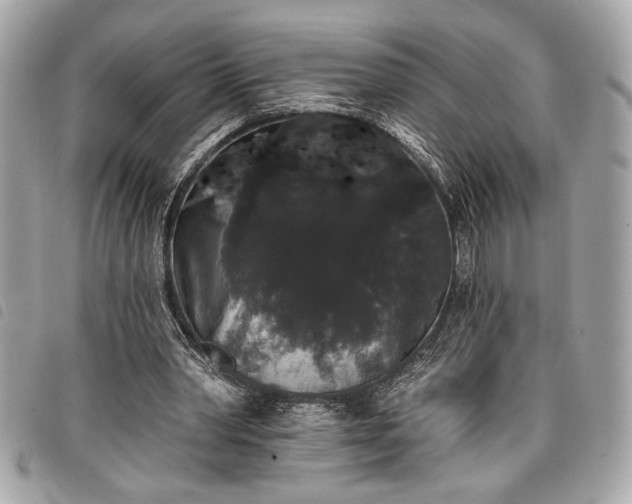 X0000098010390200804071333