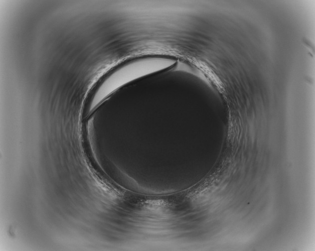 X0000098010391200804071333