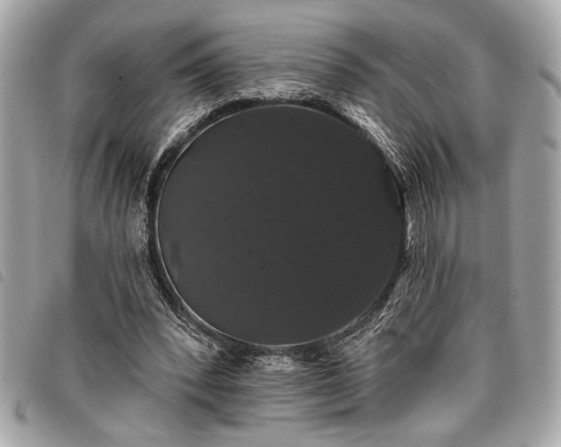 X0000098010392200804071333