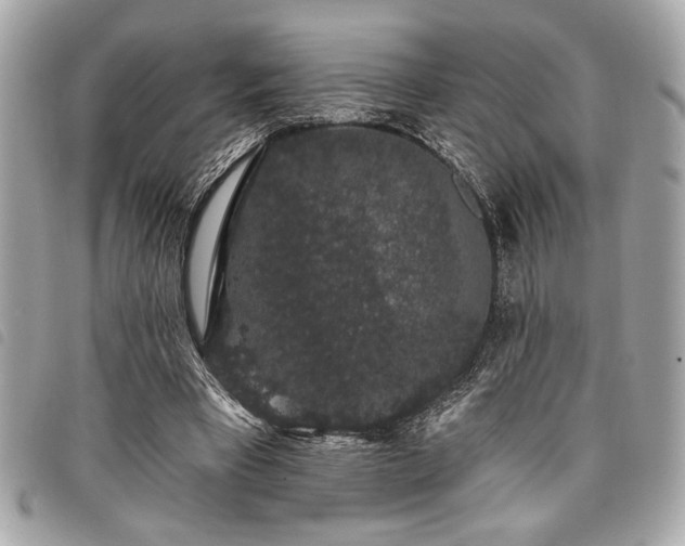 X0000098010393200804071333