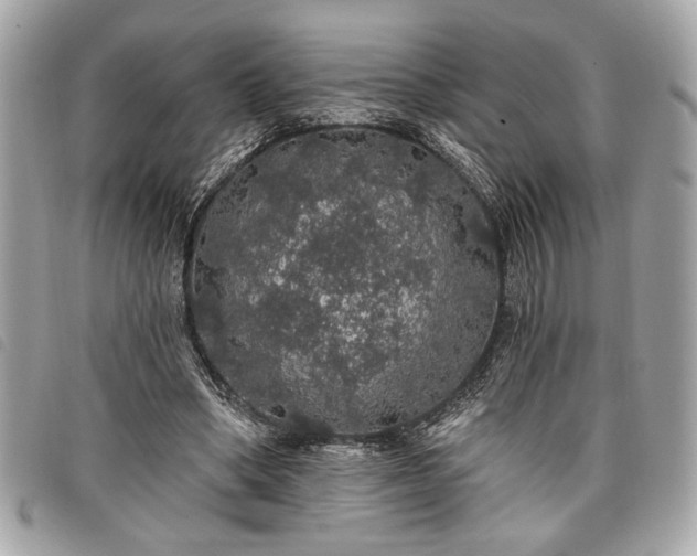 X0000098010394200804071333