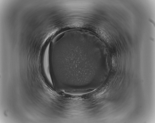 X0000098010396200804071333