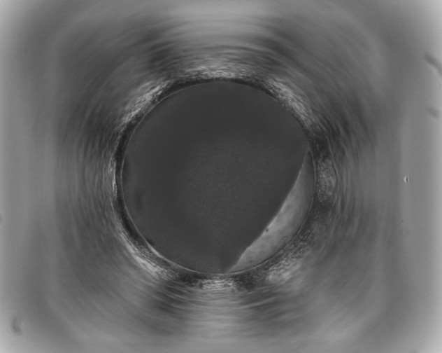 X0000098010398200804071333