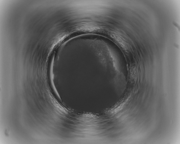 X0000098010399200804071333