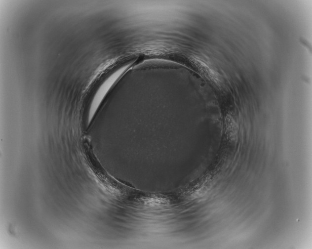 X0000098010400200804071333