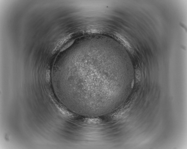 X0000098010401200804071333