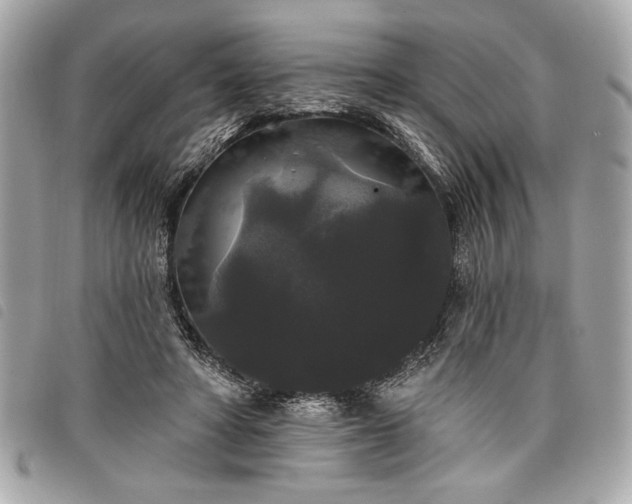 X0000098010402200804071333