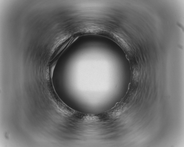 X0000098010403200804071333