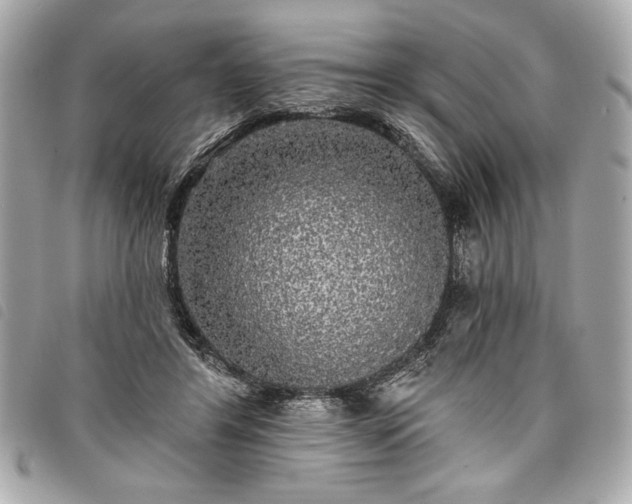 X0000098010404200804071333