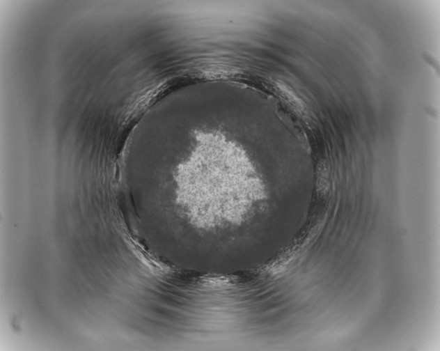 X0000098010405200804071333