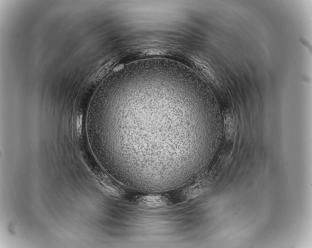 X0000098010406200804071333