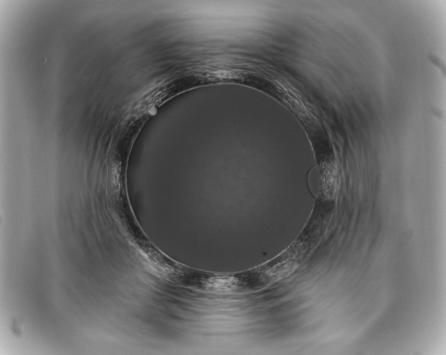 X0000098010410200804071333