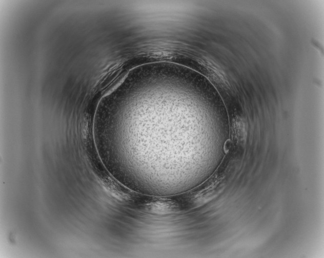 X0000098010412200804071333