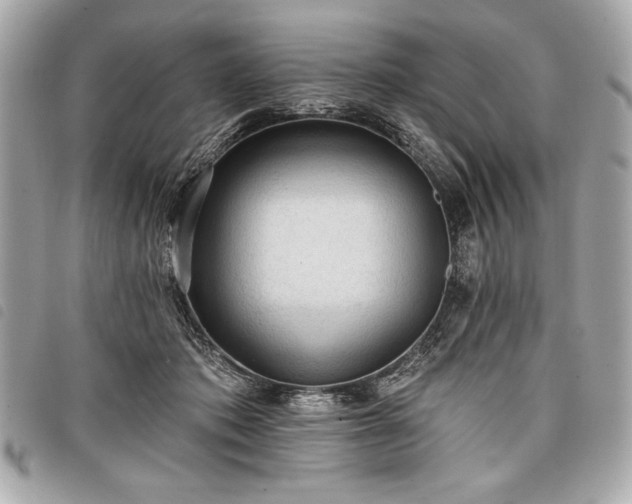 X0000098010413200804071333