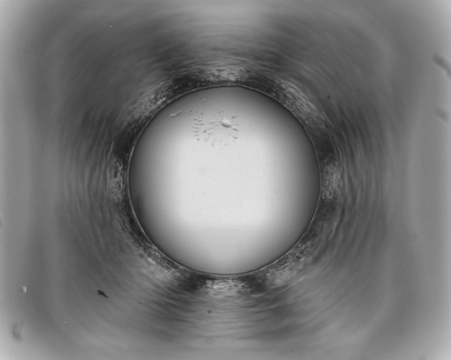 X0000098010414200804071333