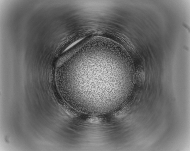 X0000098010416200804071333