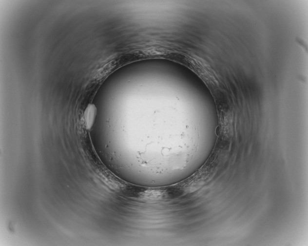 X0000098010418200804071333