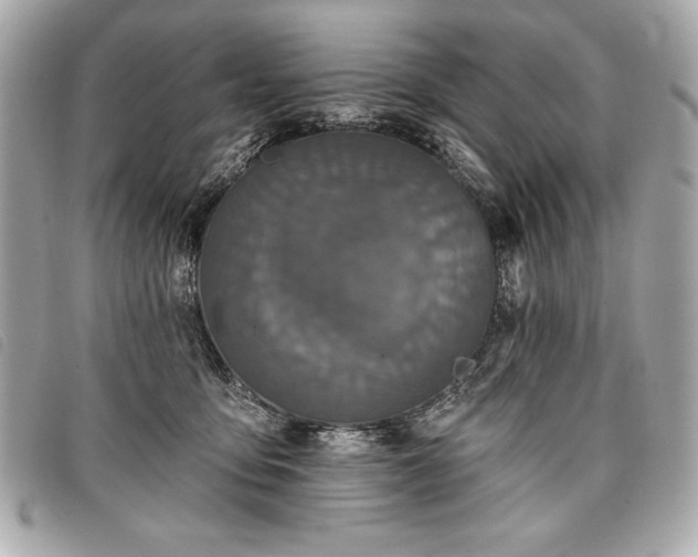 X0000098010419200804071333