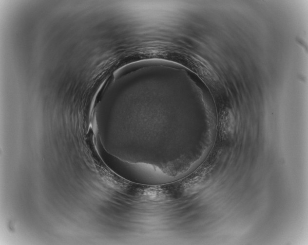 X0000098010420200804071333