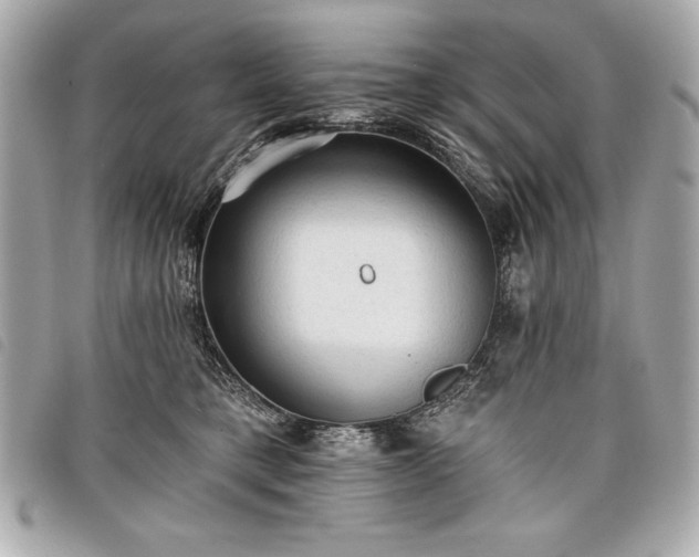 X0000098010421200804071332