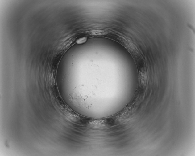 X0000098010422200804071332