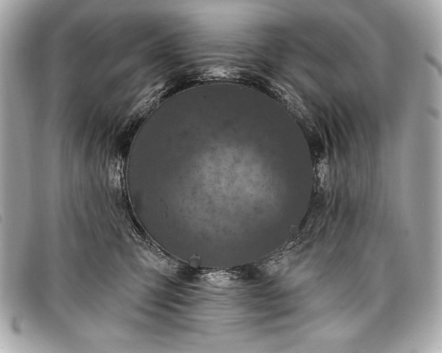 X0000098010423200804071332