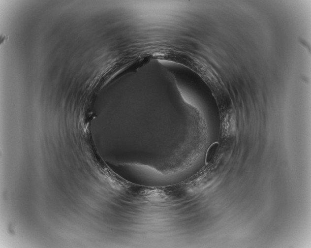 X0000098010424200804071332