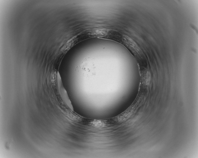 X0000098010425200804071332