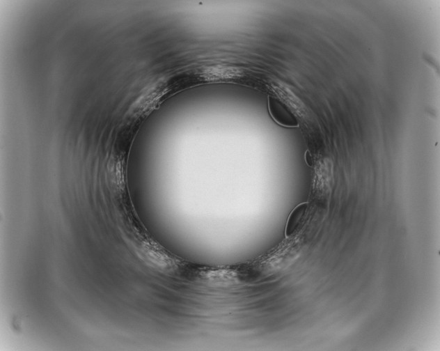 X0000098010426200804071332