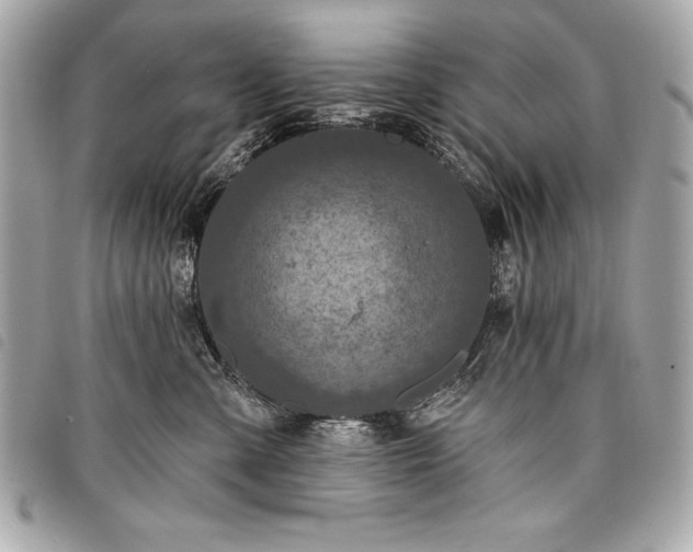 X0000098010427200804071332