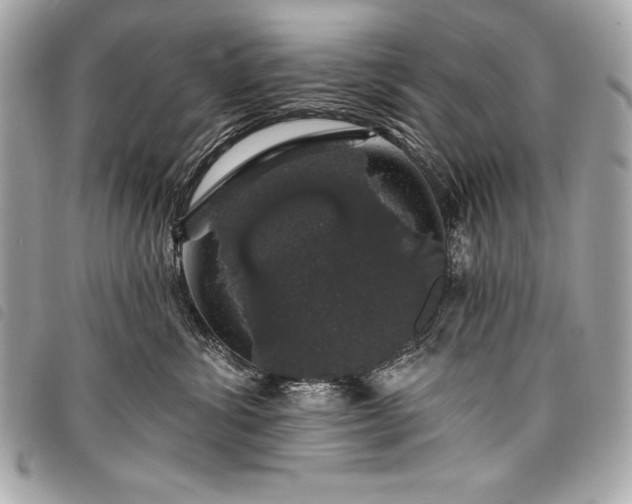 X0000098010428200804071332