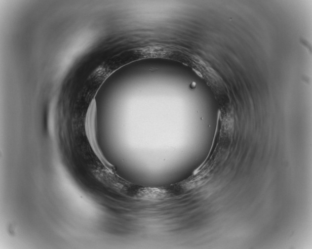 X0000098010429200804071332