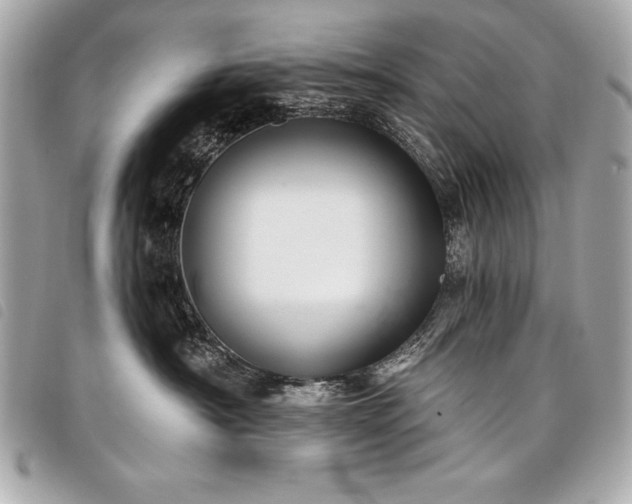 X0000098010430200804071332