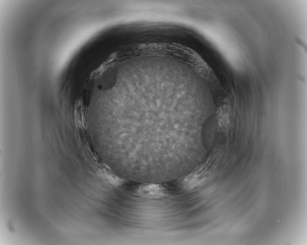 X0000098010431200804071332