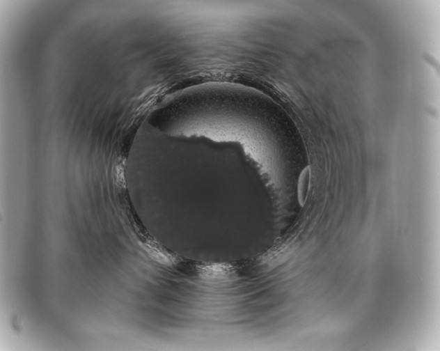 X0000098010432200804071332