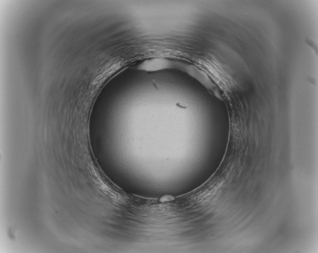 X0000098010433200804071331