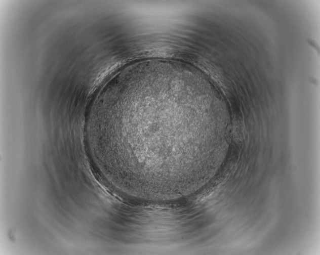 X0000098010434200804071331