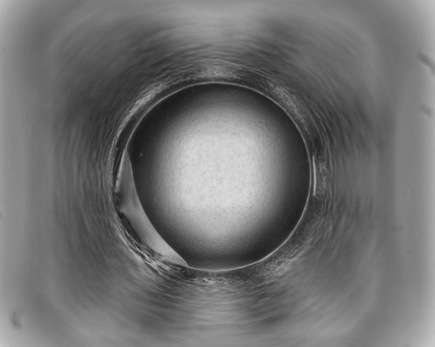 X0000098010435200804071331