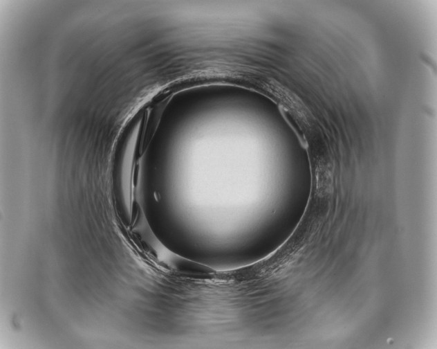 X0000098010436200804071331