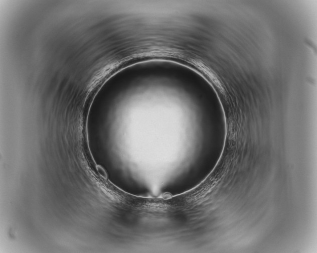 X0000098010437200804071331