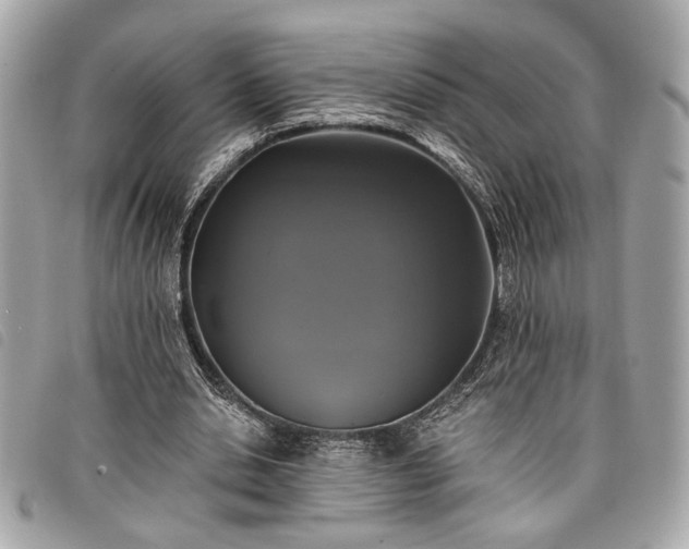 X0000098010438200804071331