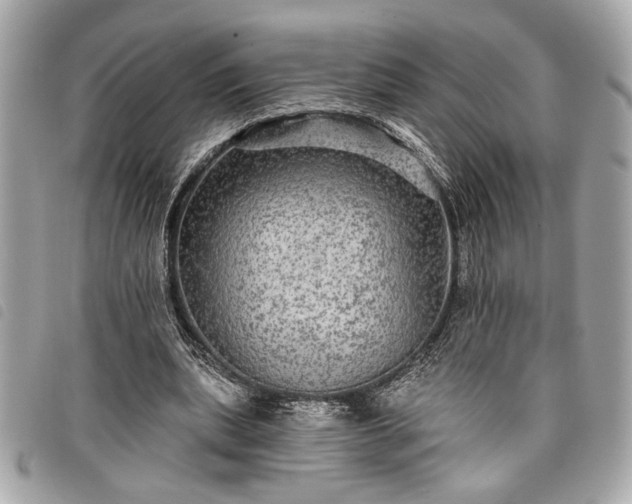 X0000098010439200804071331