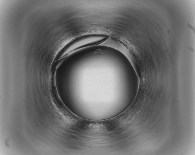 X0000098010440200804071331