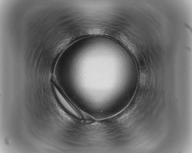 X0000098010441200804071331