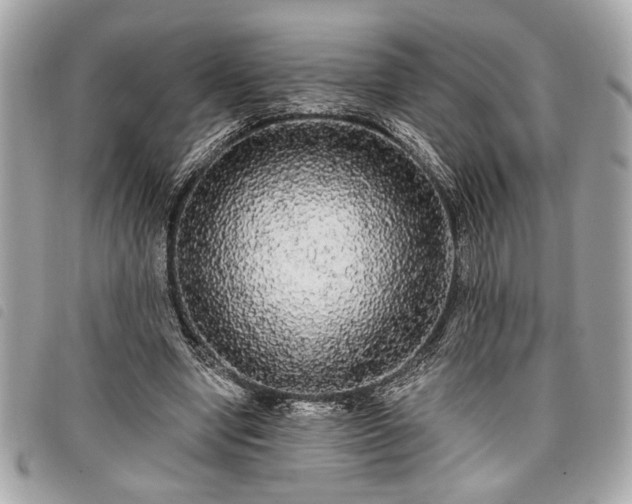 X0000098010442200804071331