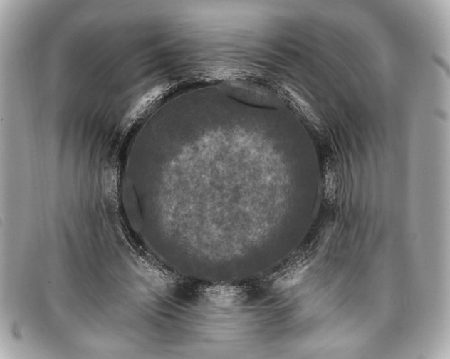 X0000098010444200804071332