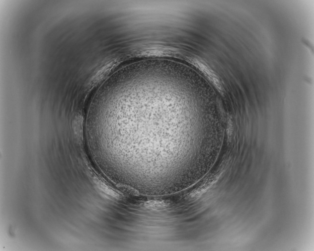 X0000098010445200804071332