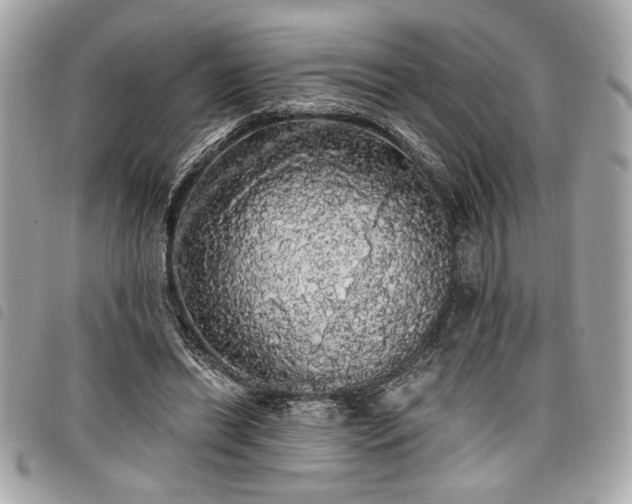 X0000098010446200804071332